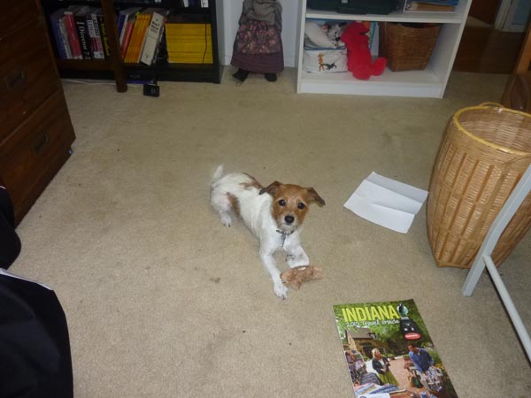 jill-bd-722010 031