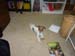 jill-bd-722010 031