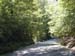 ride52904_06